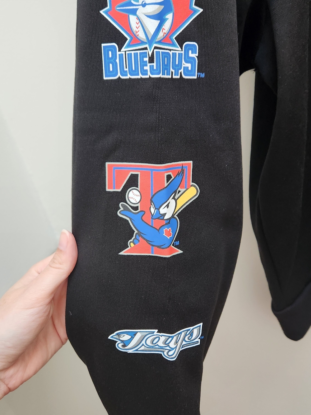 Toronto Blue Jays 50th Anniversary Pullover Hoodie Giveaway - Picture 4 of 5